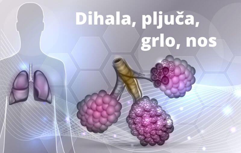 amritana Dihala, pljuča, grlo, nos, prehlad, kašelj, gripa, nos, sinusi, kisik