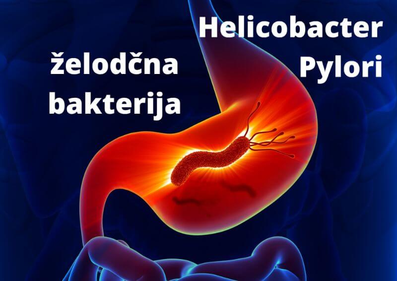 amritana-PREBAVA-ZELODEC-in-bakterija-Helicobacter-Pylori