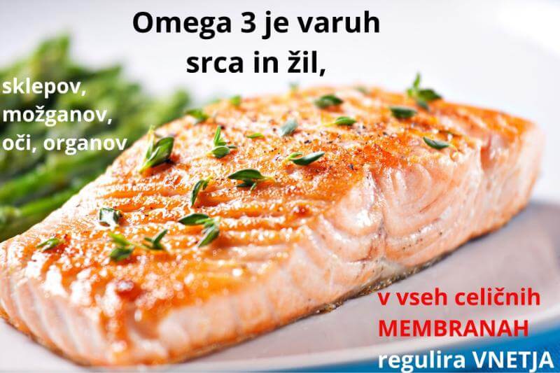 Omega-3-mascobne-kisline-za-zdravje-srca-zil-sklepov-mozganov-oci-organov