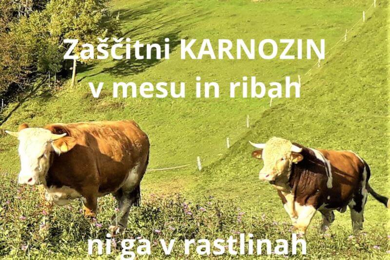 Zascitni-KARNOZIN-v-mesu-in-ribah-ni-ga-v-rastlinah-ustvarja-ga-tudi-telo-amritana