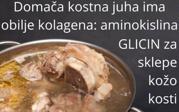 GLICIN in kolagen ima kostna juha v obilju za sklepe, kožo, kosti in vezivo ZAPER