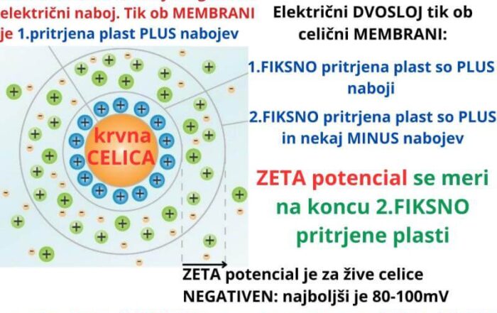 ZETA potencial celic ima negativno vrednost v mV ZAPER amritana